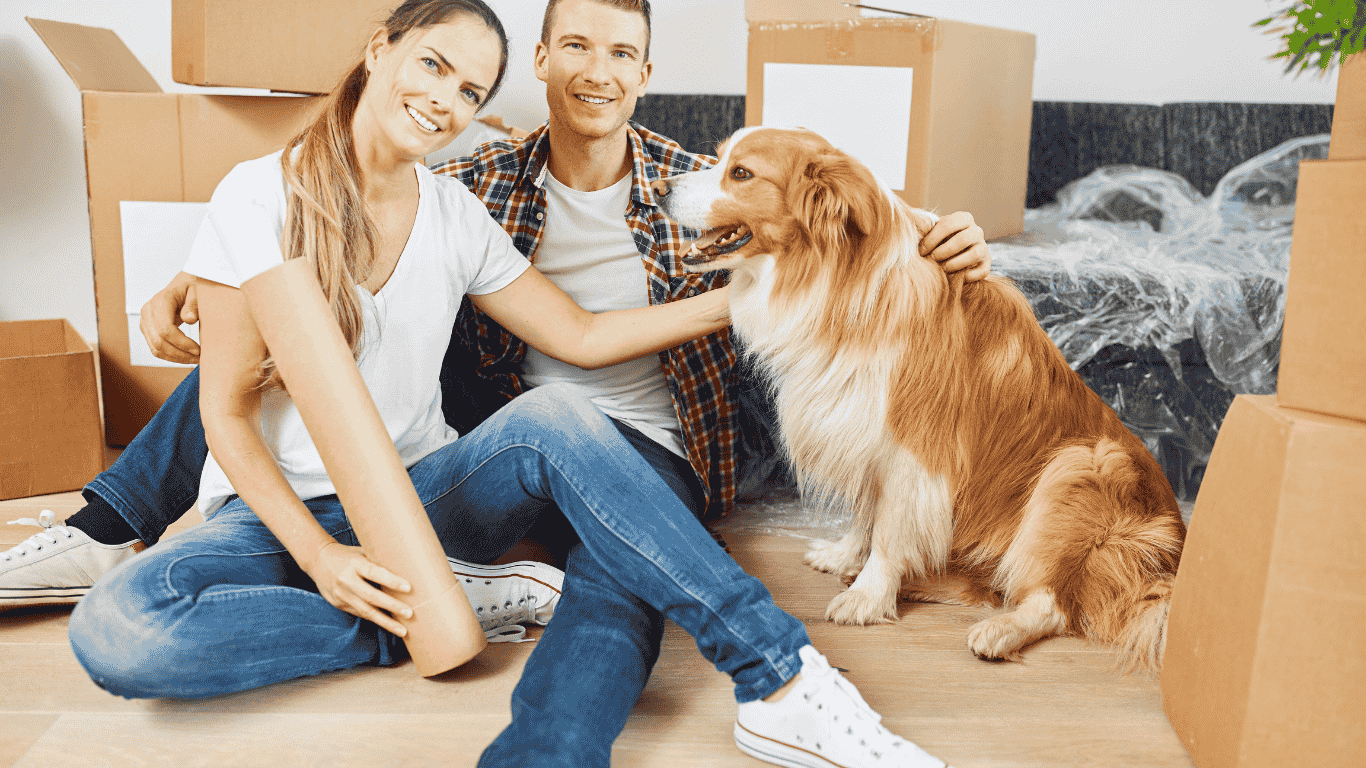 Pet Relocation Courier Cargo Packers Movers Bangalore