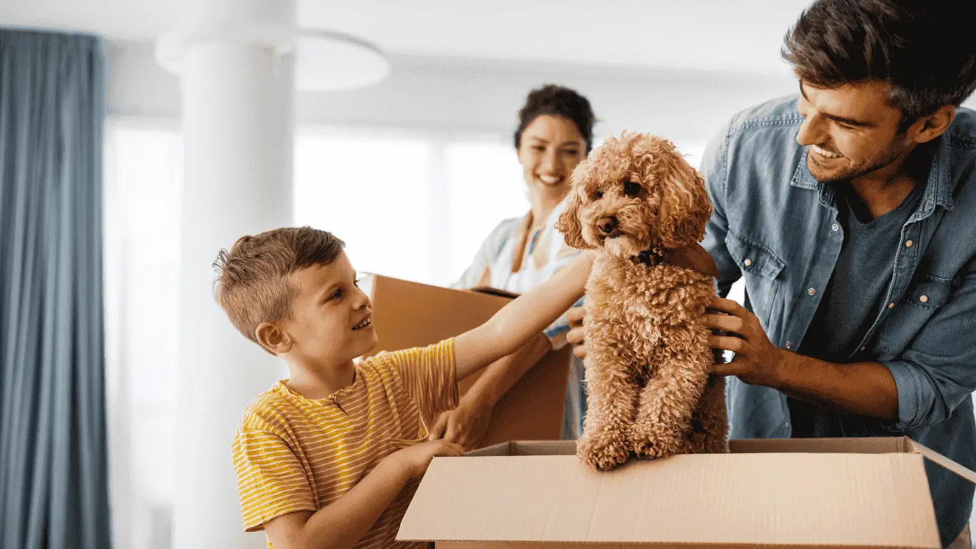 Happy family with Packers & Movers service boxes