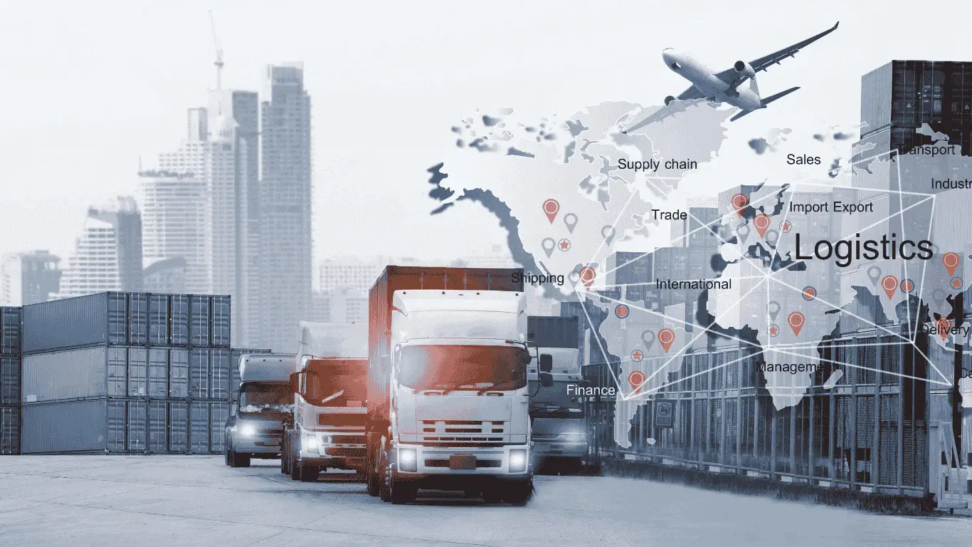 Packers & Movers managing international moving service with packing and customs