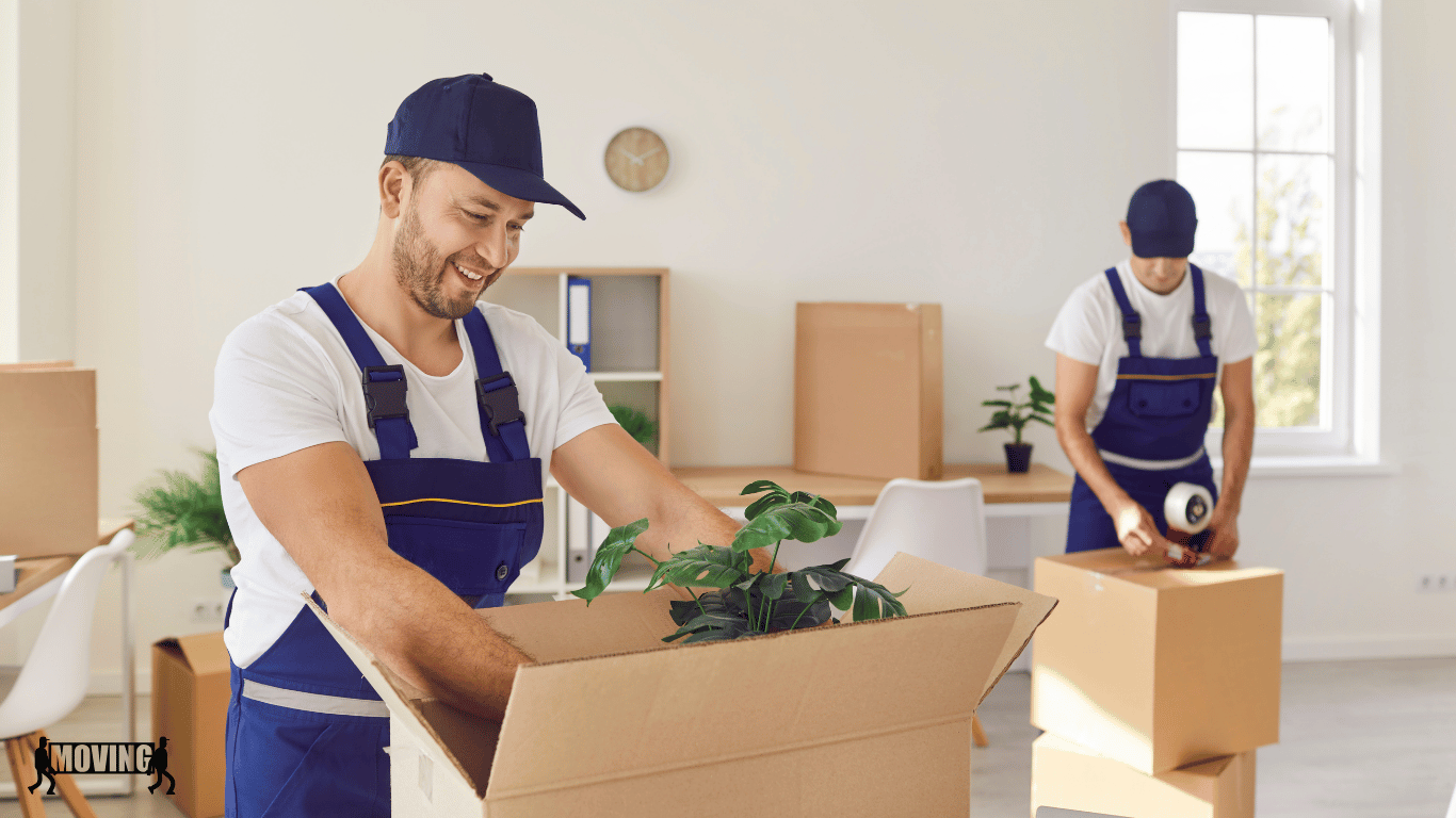 Door-to-Door-Courier-Bangalore-by-Easy2MovExpress